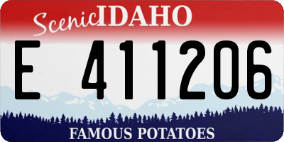 ID license plate E411206