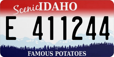 ID license plate E411244