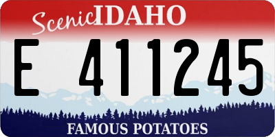 ID license plate E411245