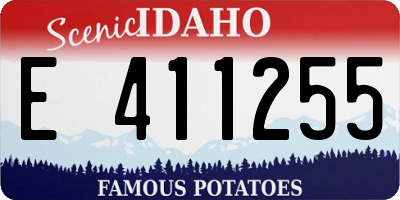ID license plate E411255