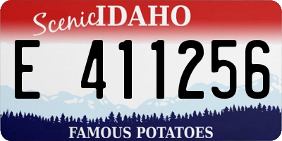 ID license plate E411256