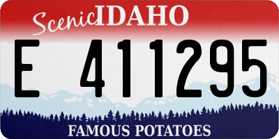 ID license plate E411295