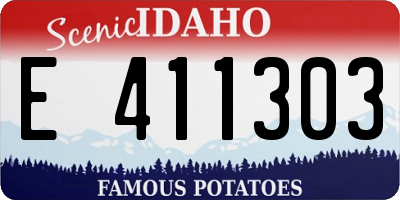 ID license plate E411303