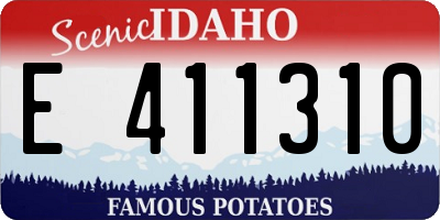 ID license plate E411310