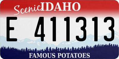 ID license plate E411313