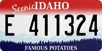ID license plate E411324