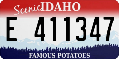 ID license plate E411347