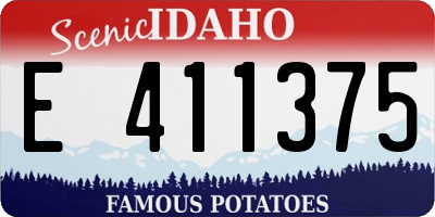 ID license plate E411375