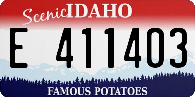 ID license plate E411403