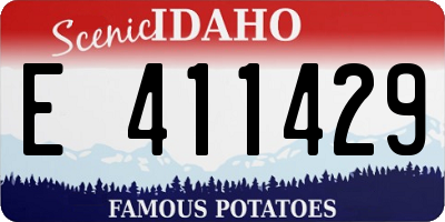 ID license plate E411429