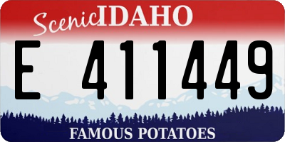 ID license plate E411449