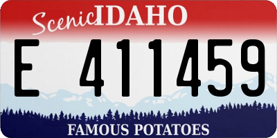 ID license plate E411459