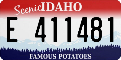 ID license plate E411481