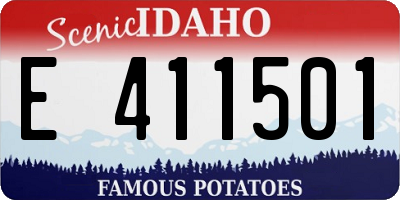 ID license plate E411501