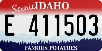 ID license plate E411503
