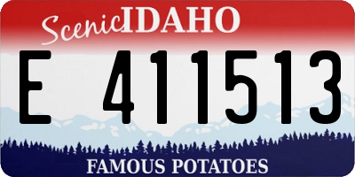 ID license plate E411513