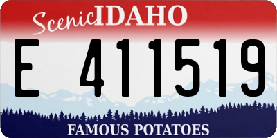 ID license plate E411519