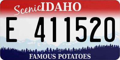 ID license plate E411520