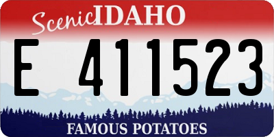 ID license plate E411523