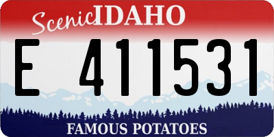ID license plate E411531