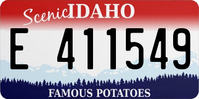 ID license plate E411549