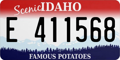 ID license plate E411568