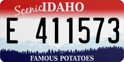 ID license plate E411573