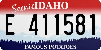 ID license plate E411581