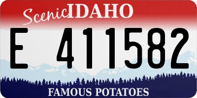 ID license plate E411582