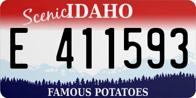 ID license plate E411593