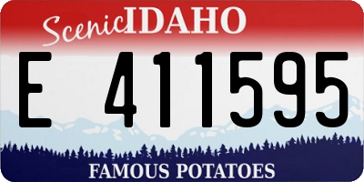 ID license plate E411595