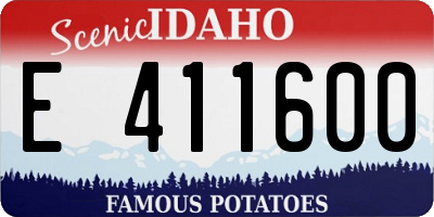 ID license plate E411600