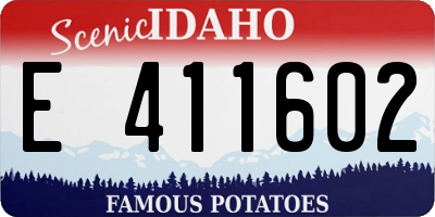 ID license plate E411602