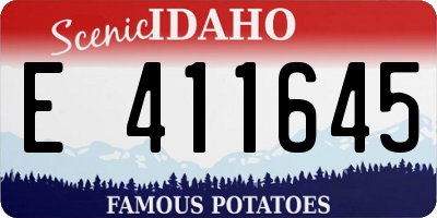 ID license plate E411645