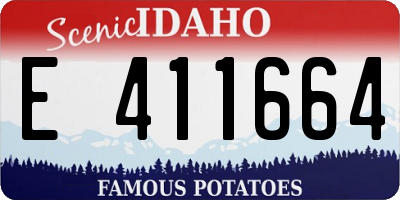 ID license plate E411664