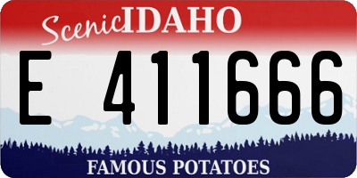 ID license plate E411666