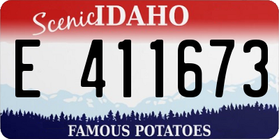 ID license plate E411673