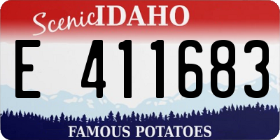 ID license plate E411683