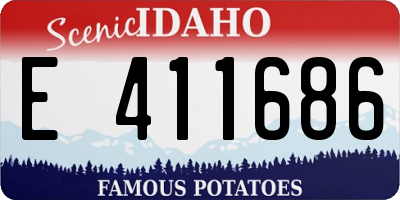 ID license plate E411686