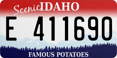 ID license plate E411690