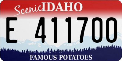 ID license plate E411700