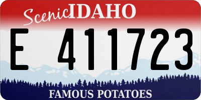 ID license plate E411723