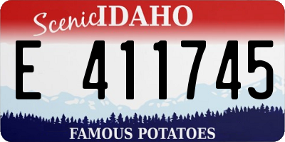 ID license plate E411745