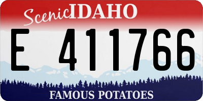ID license plate E411766