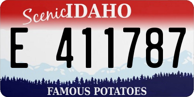 ID license plate E411787