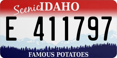 ID license plate E411797