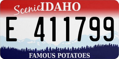 ID license plate E411799