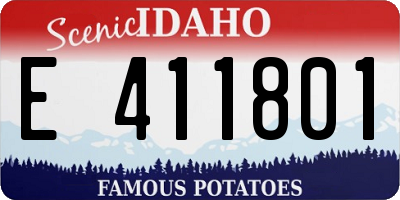 ID license plate E411801
