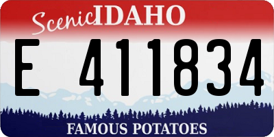 ID license plate E411834
