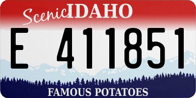 ID license plate E411851